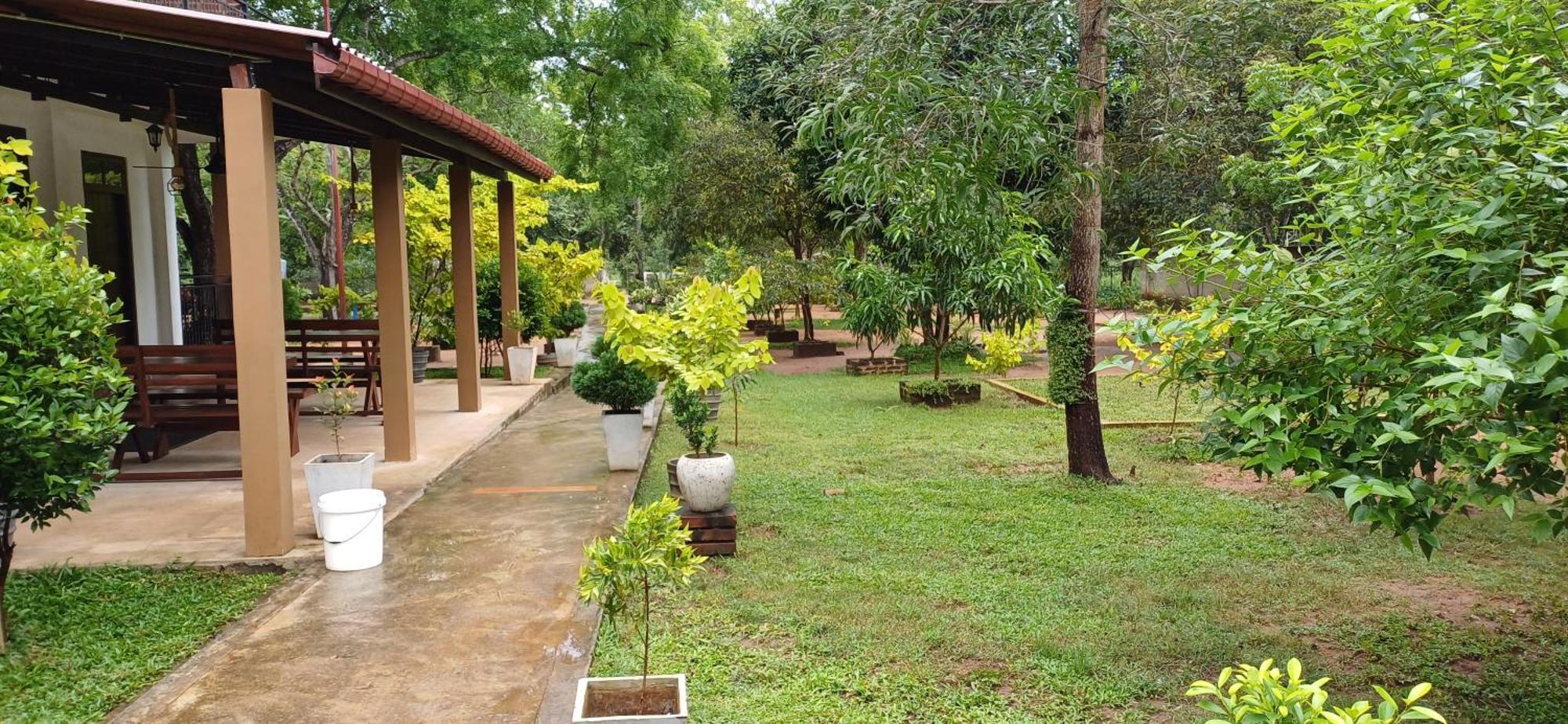 Forest Edge Villa Anuradhapura Exterior foto